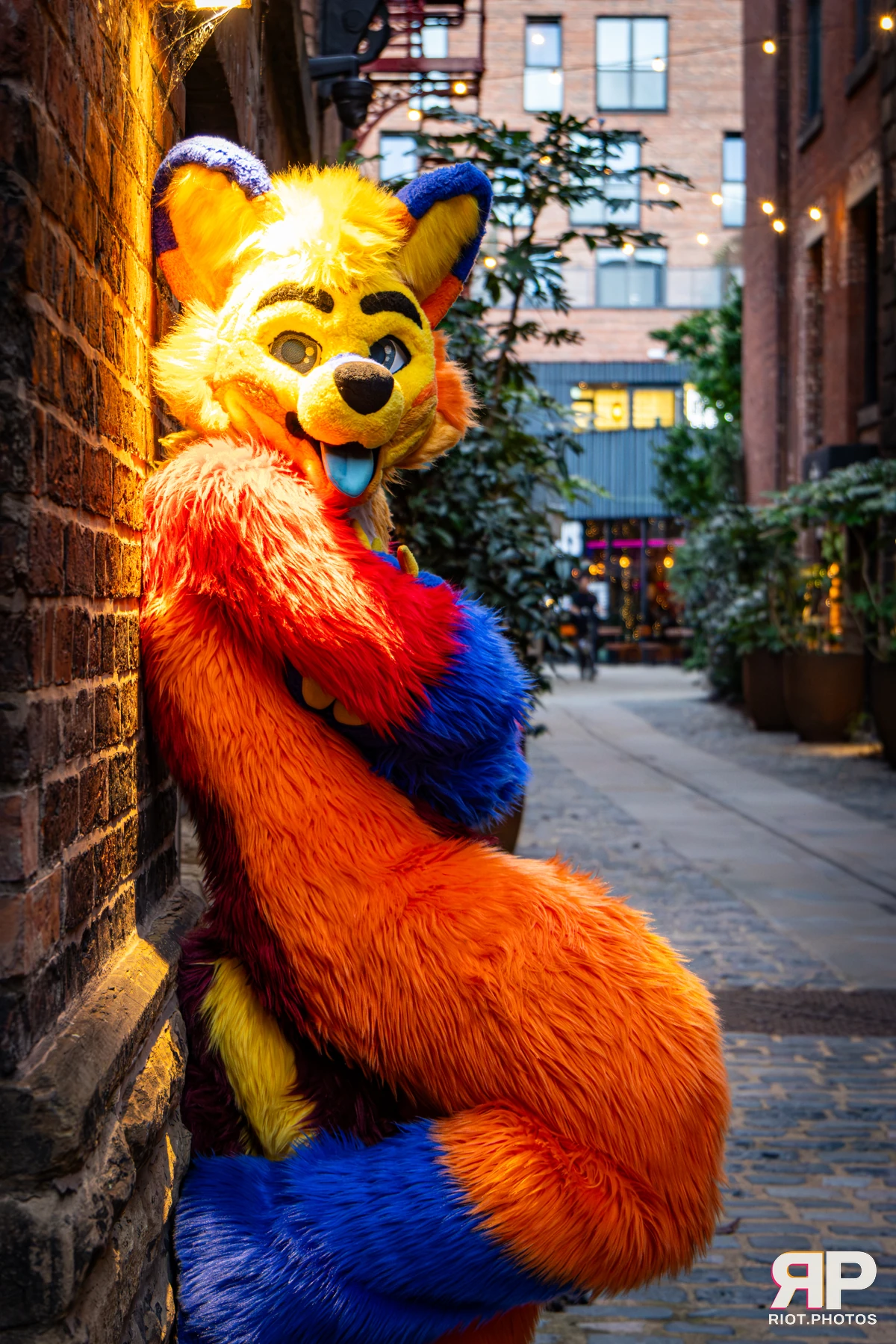 Doggy Weekend 2026 - 18 Oct 2026, Fluffy Riot photography - photo 72