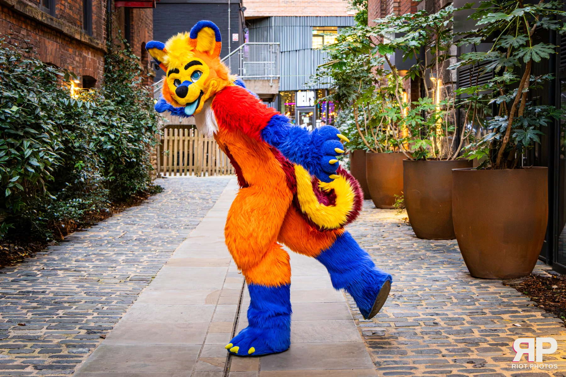 Doggy Weekend 2026 - 18 Oct 2026, Fluffy Riot photography - photo 70