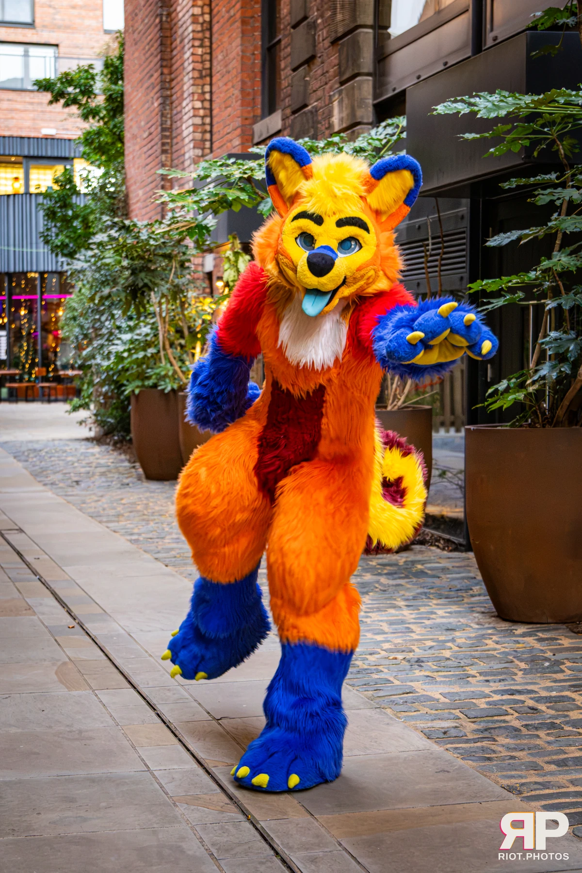 Doggy Weekend 2026 - 18 Oct 2026, Fluffy Riot photography - photo 69