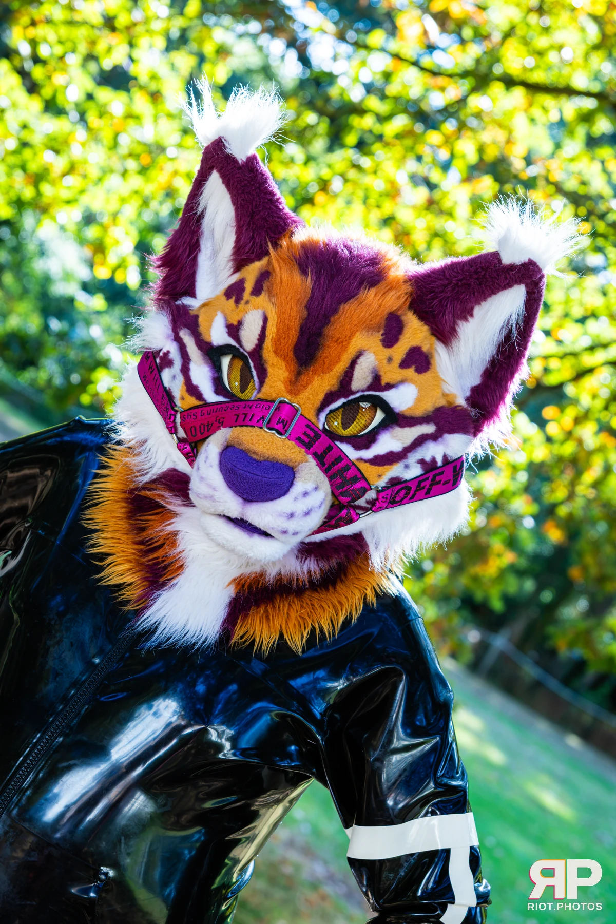 Ryker - furry & pup photography by Fluffy Riot - photo 27