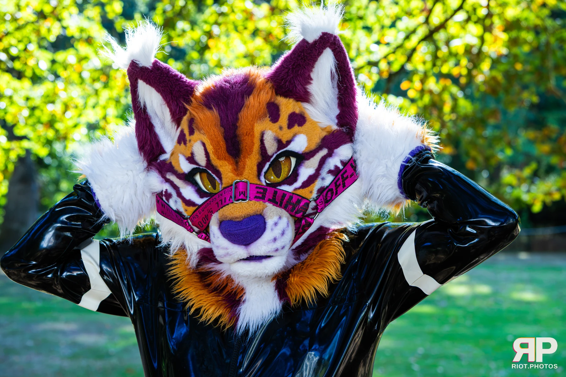 Ryker - furry & pup photography by Fluffy Riot - photo 25