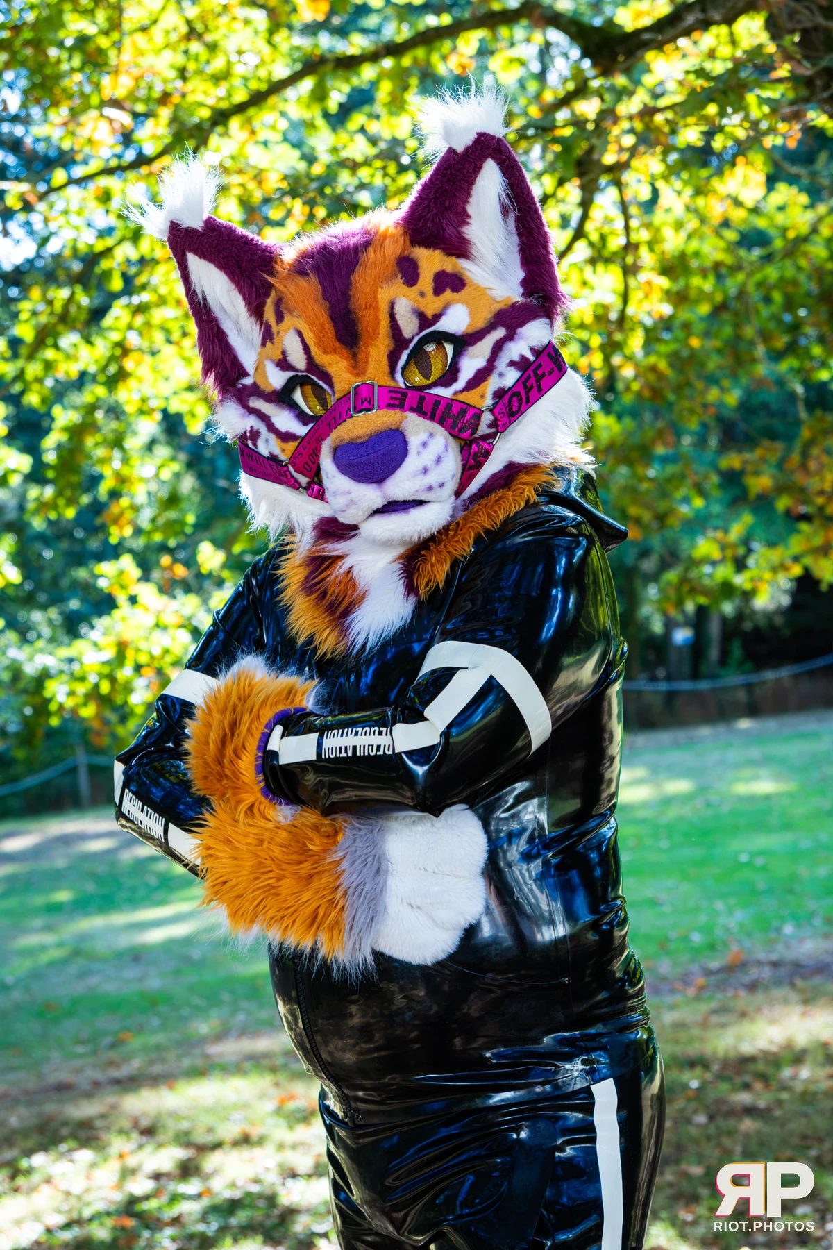 Ryker - furry & pup photography by Fluffy Riot - photo 24