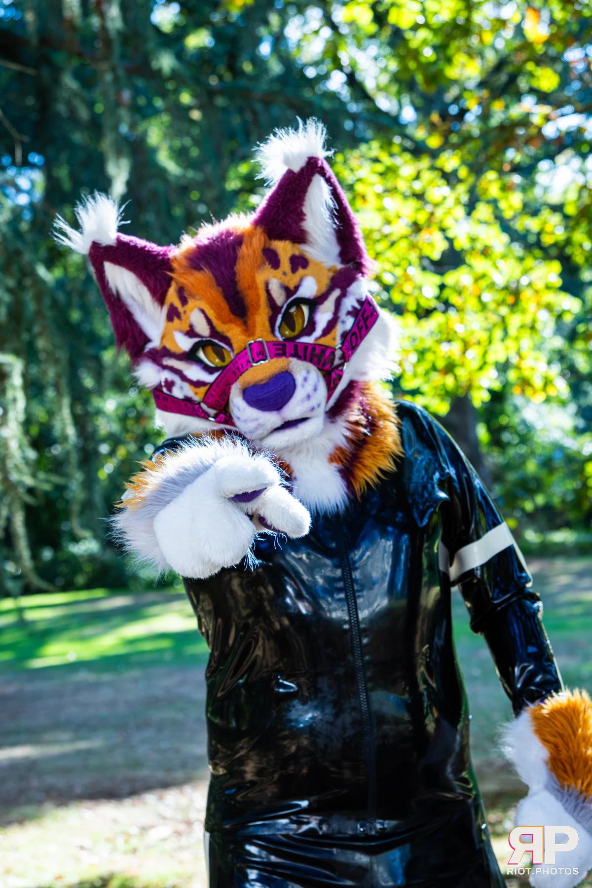 Ryker - furry & pup photography by Fluffy Riot - photo 22