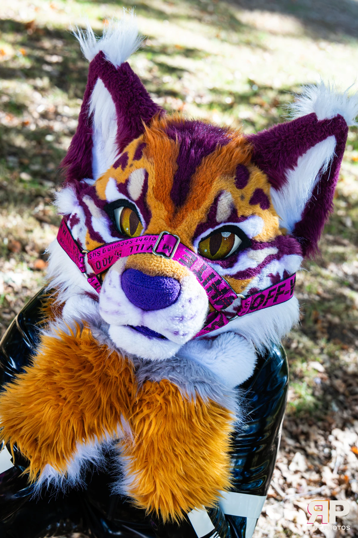Ryker - furry & pup photography by Fluffy Riot - photo 19