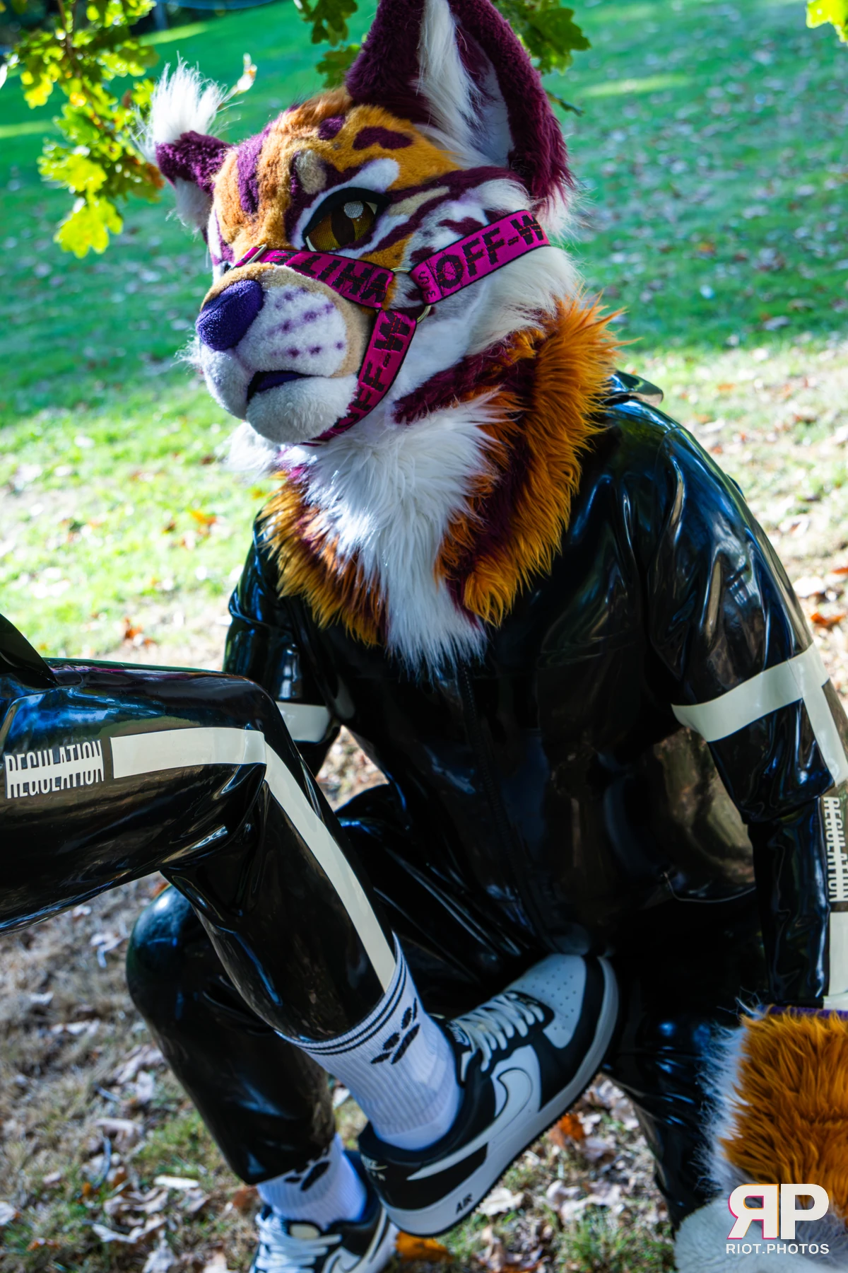 Ryker - furry & pup photography by Fluffy Riot - photo 18