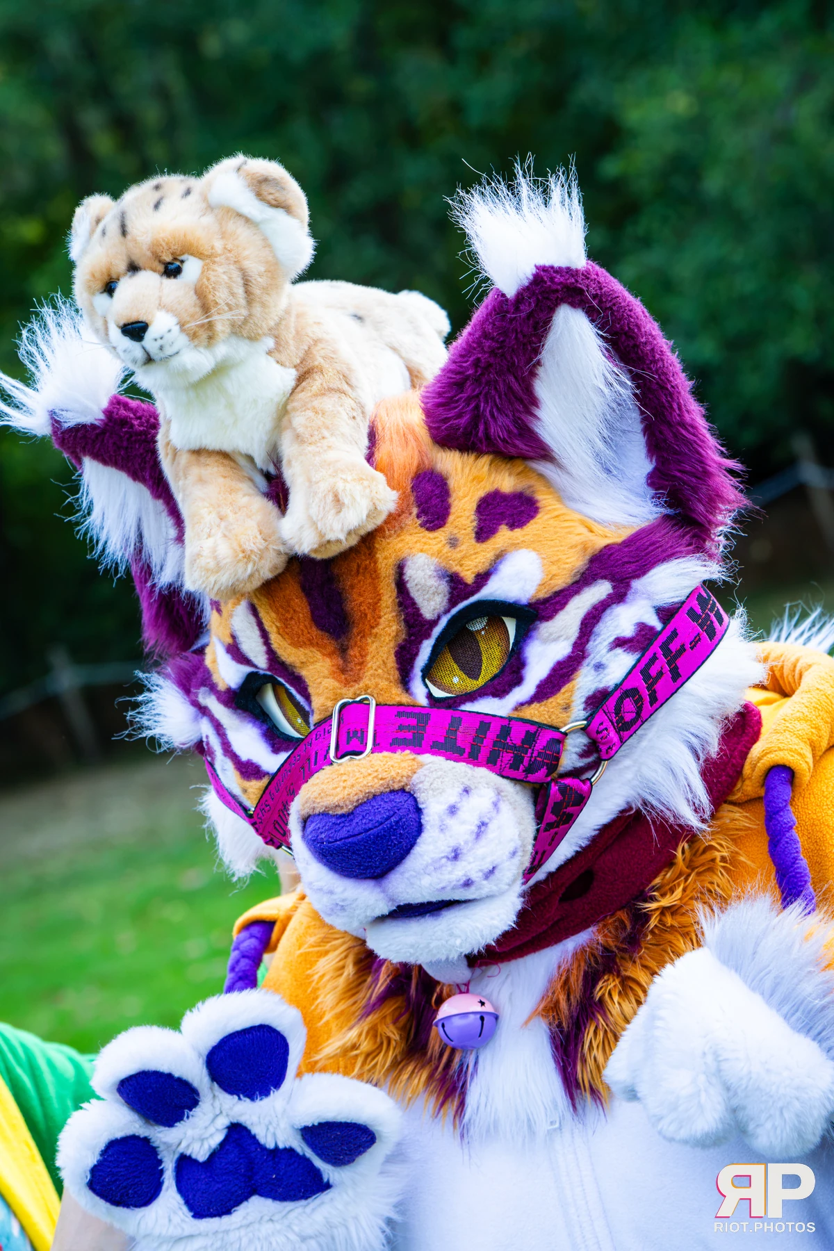 Ryker - furry & pup photography by Fluffy Riot - photo 13
