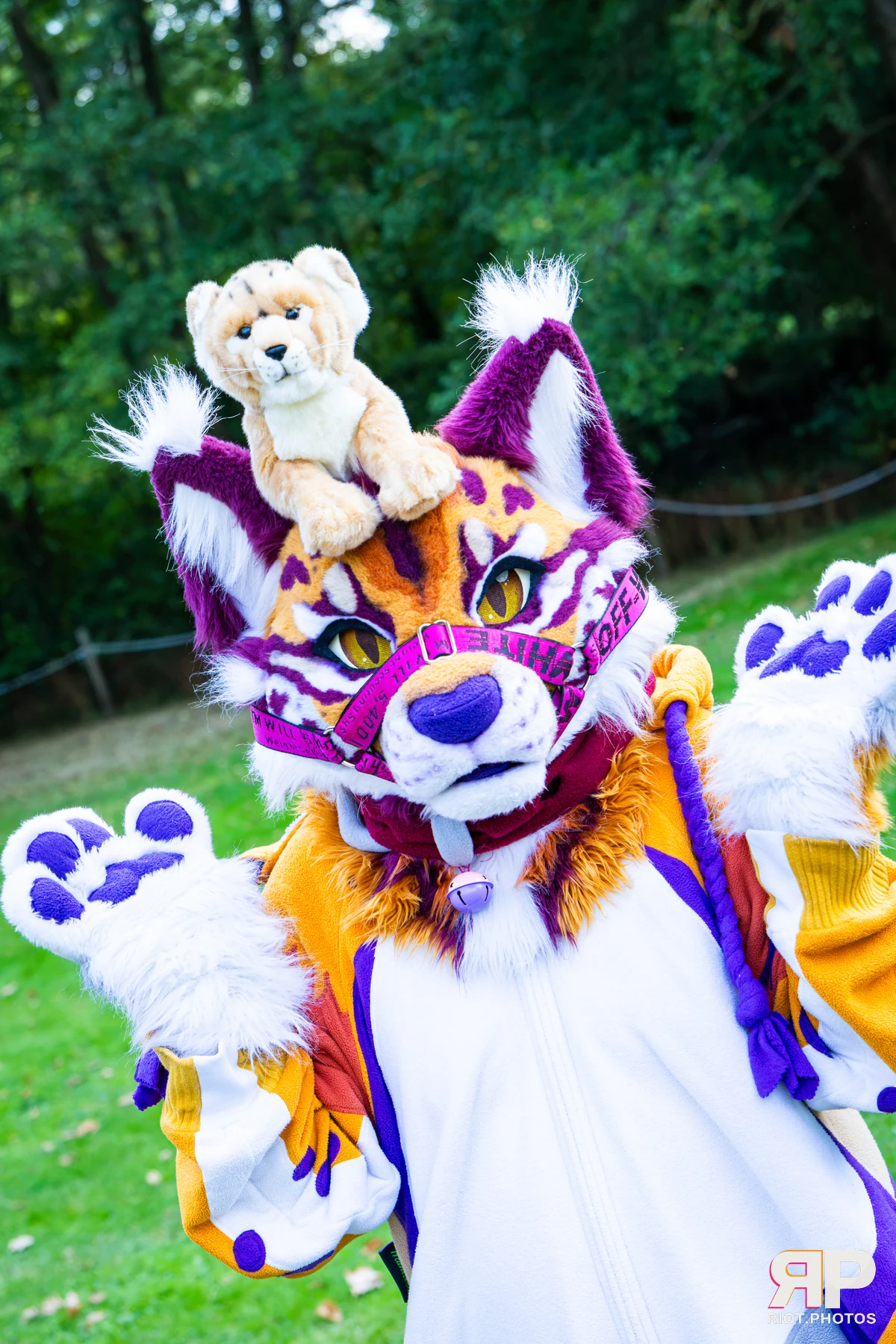 Ryker - furry & pup photography by Fluffy Riot - photo 12