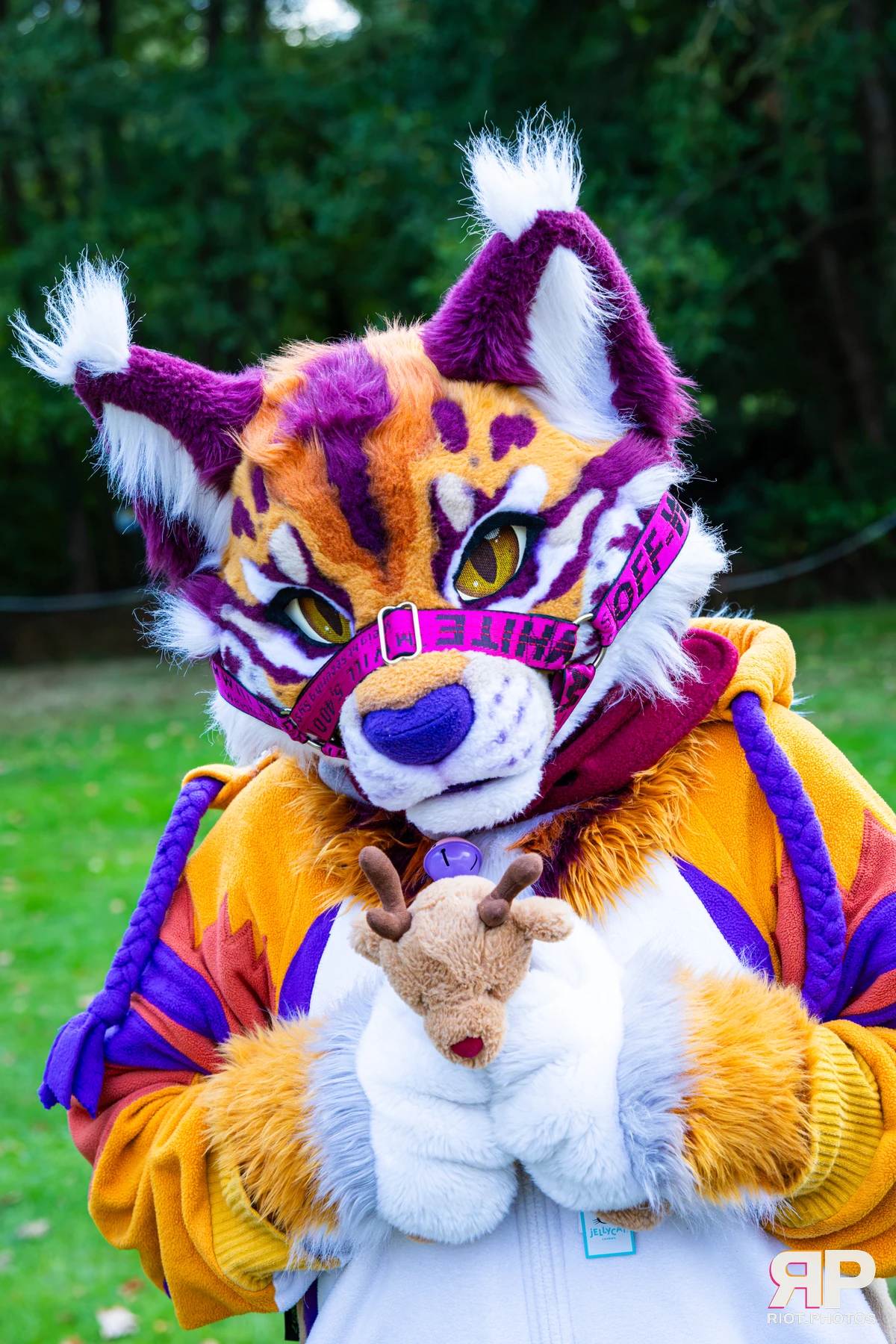 Ryker - furry & pup photography by Fluffy Riot - photo 11