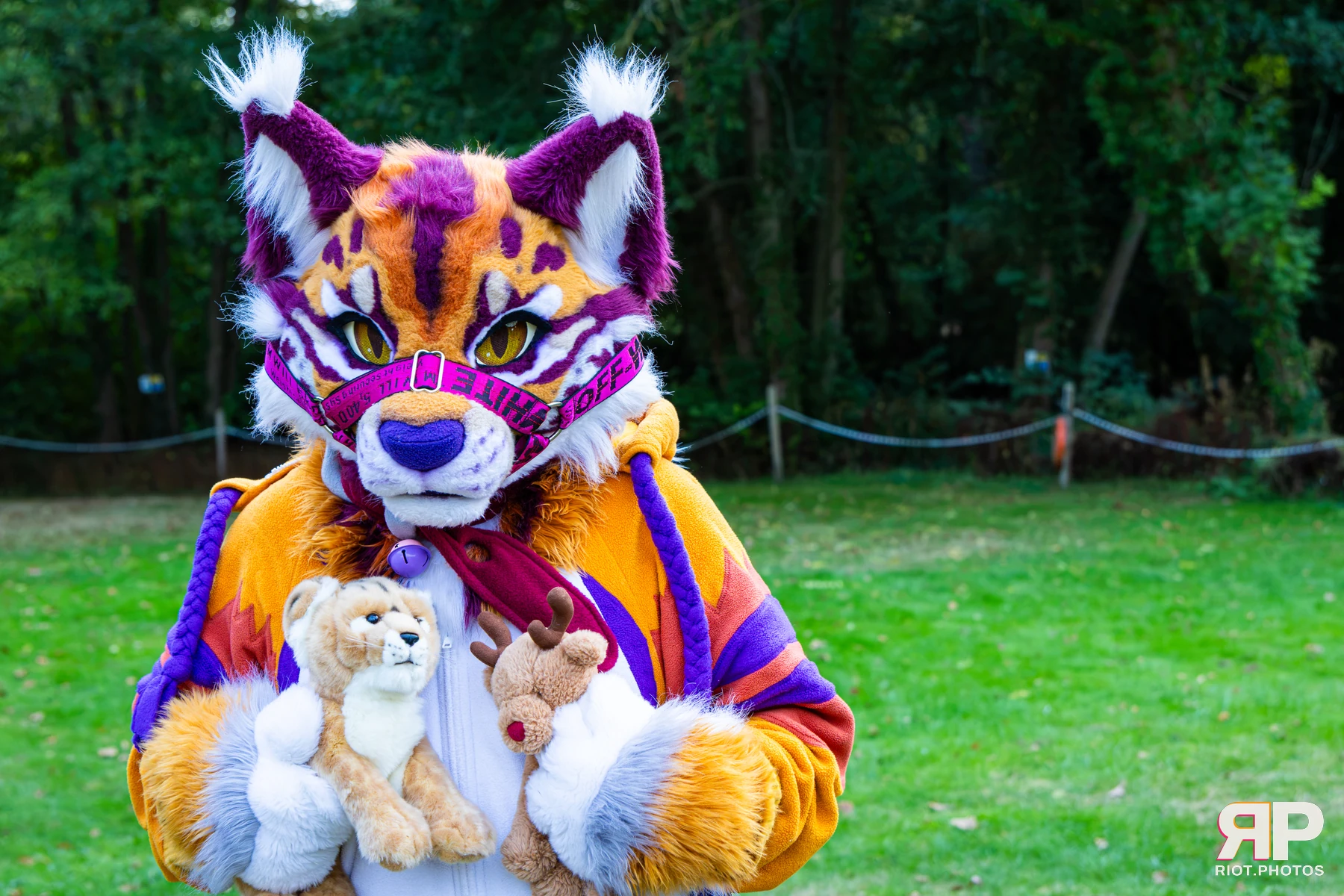 Ryker - furry & pup photography by Fluffy Riot - photo 10