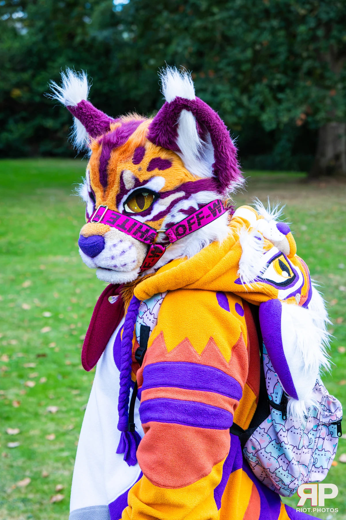 Ryker - furry & pup photography by Fluffy Riot - photo 9