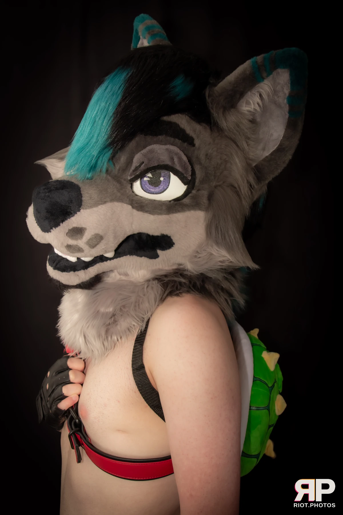 Salerei — furry & pup photography by Fluffy Riot — photo 135