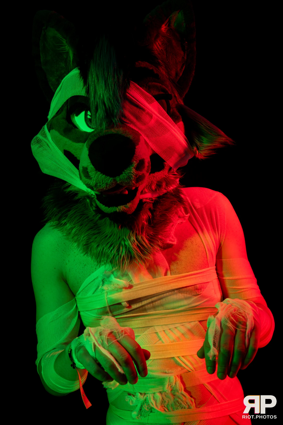 Salerei — furry & pup photography by Fluffy Riot — photo 67