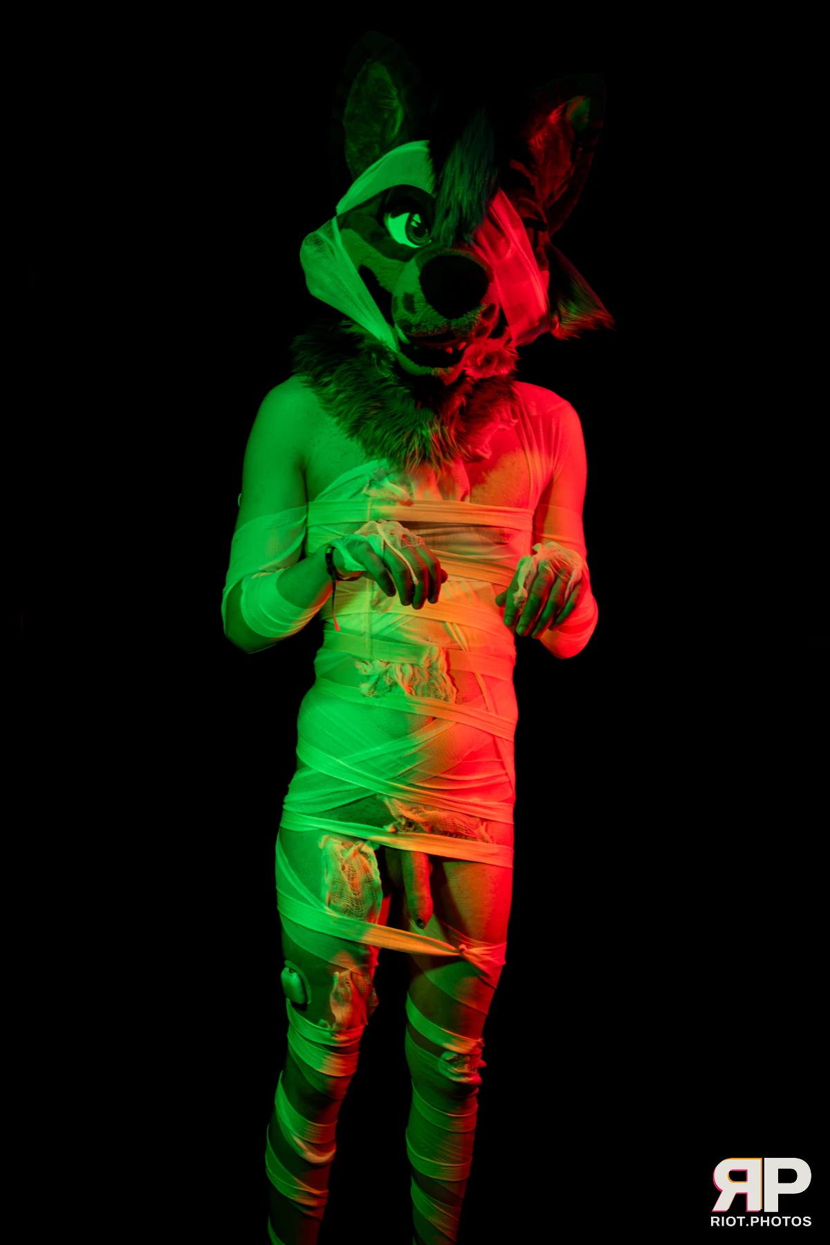 Salerei — furry & pup photography by Fluffy Riot — photo 68