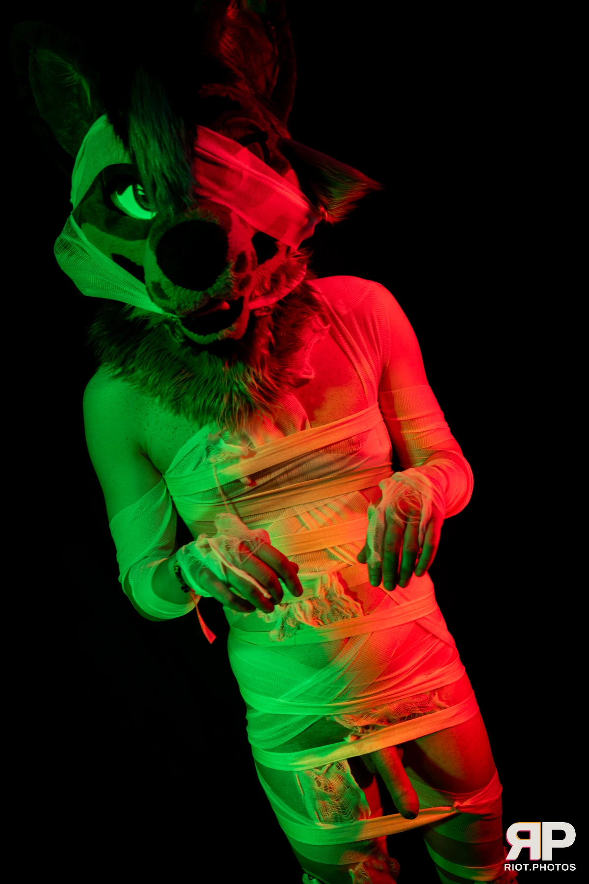 Salerei — furry & pup photography by Fluffy Riot — photo 69