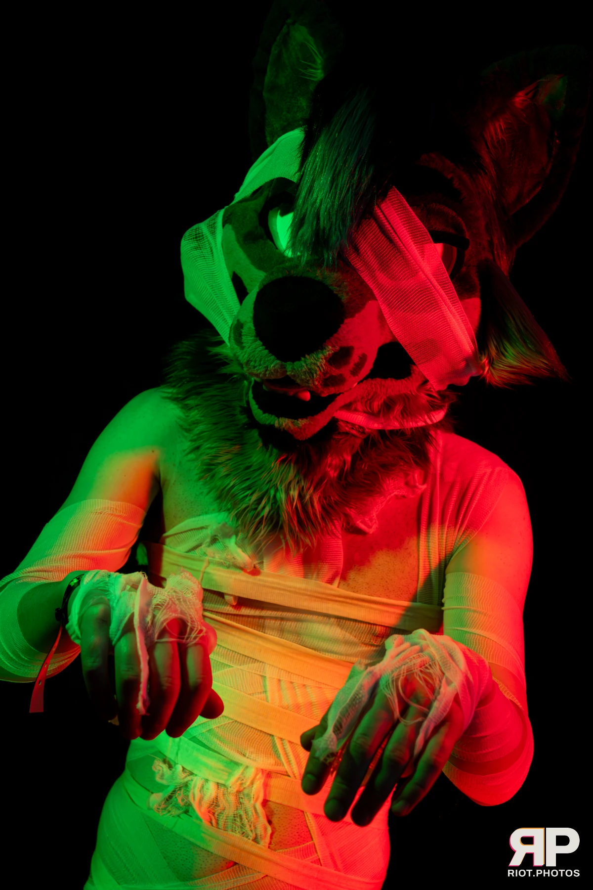Salerei — furry & pup photography by Fluffy Riot — photo 70