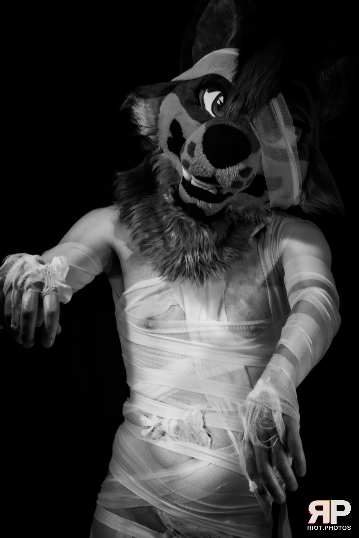 Salerei — furry & pup photography by Fluffy Riot — photo 75
