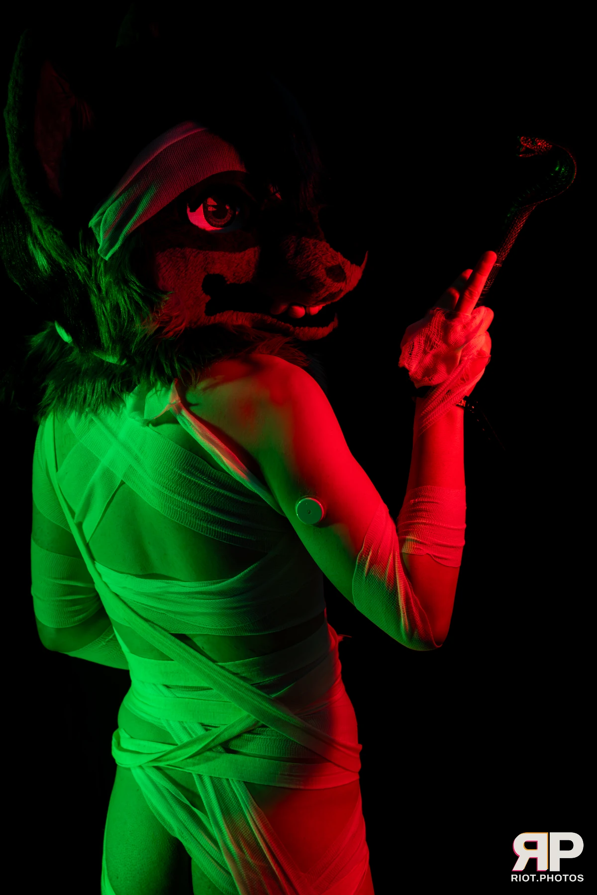 Salerei — furry & pup photography by Fluffy Riot — photo 78