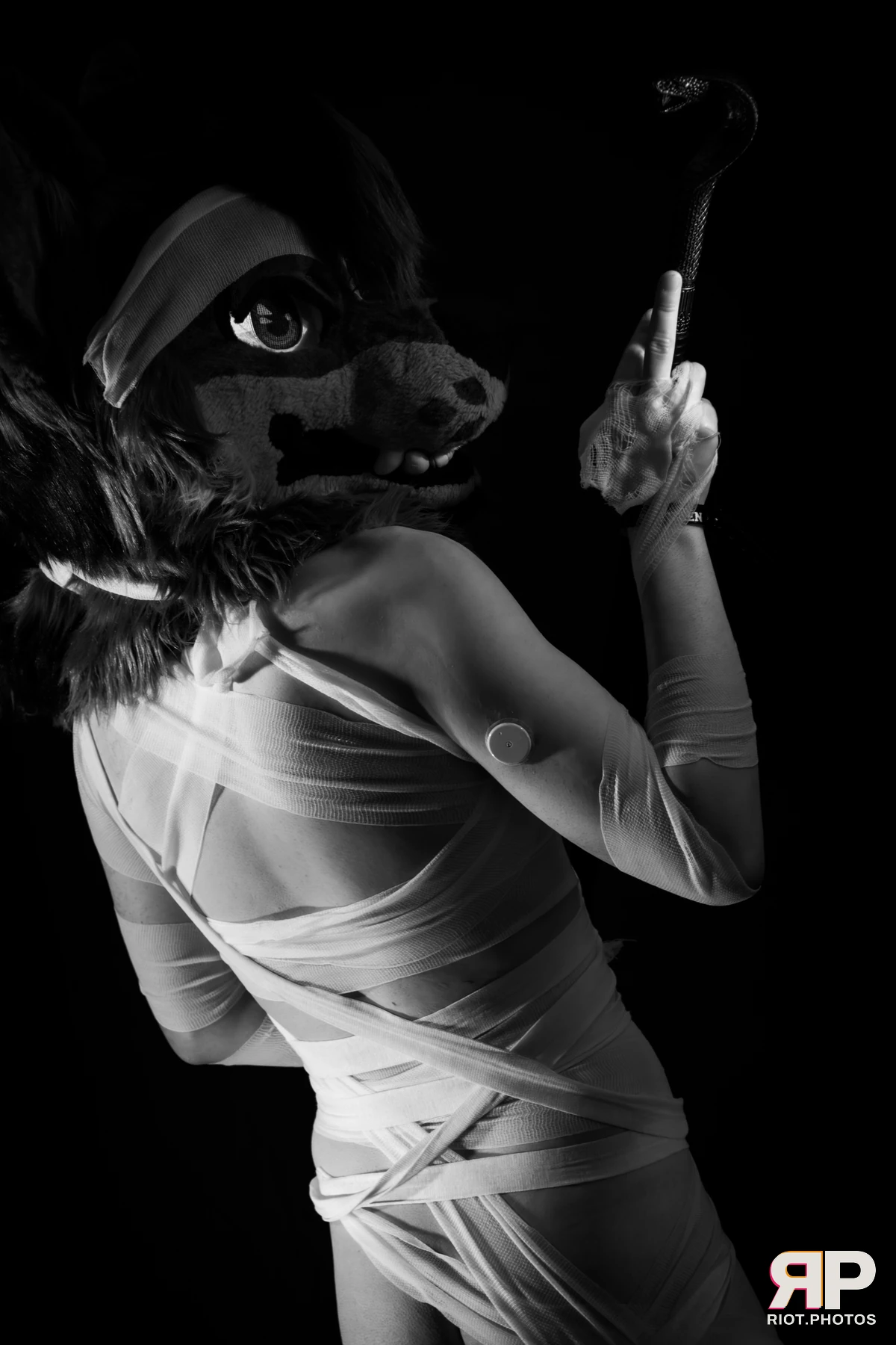 Salerei — furry & pup photography by Fluffy Riot — photo 79