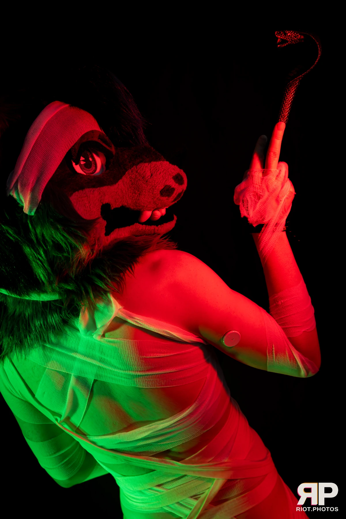 Salerei — furry & pup photography by Fluffy Riot — photo 80