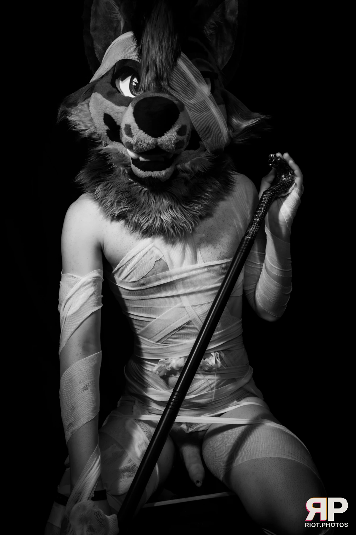 Salerei — furry & pup photography by Fluffy Riot — photo 84
