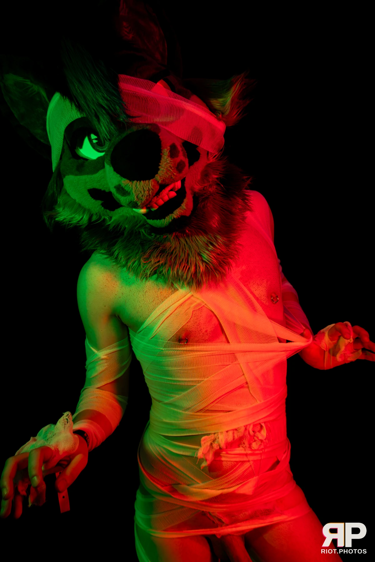 Salerei — furry & pup photography by Fluffy Riot — photo 86