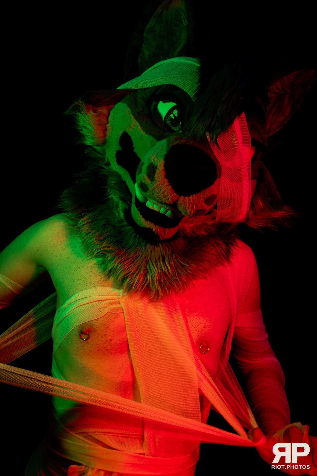 Salerei — furry & pup photography by Fluffy Riot — photo 89