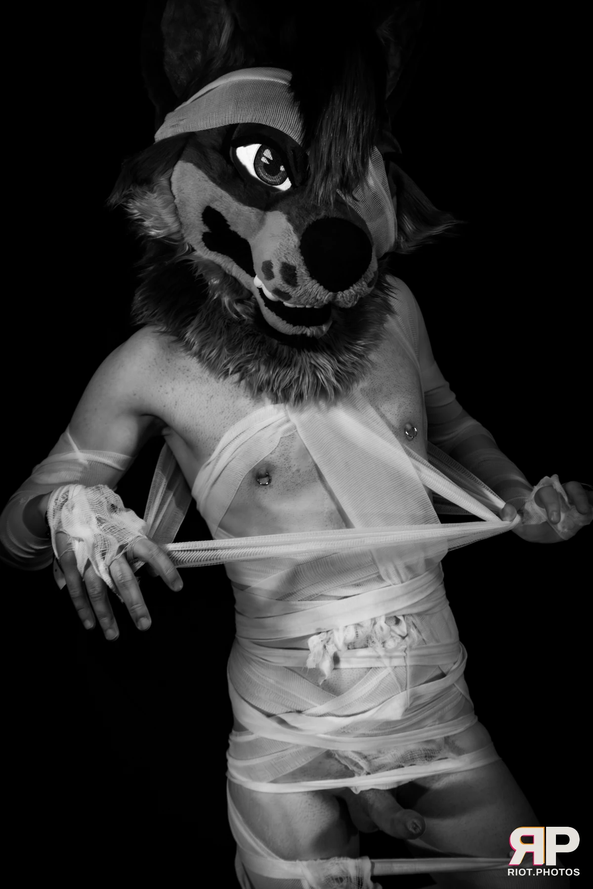 Salerei — furry & pup photography by Fluffy Riot — photo 91