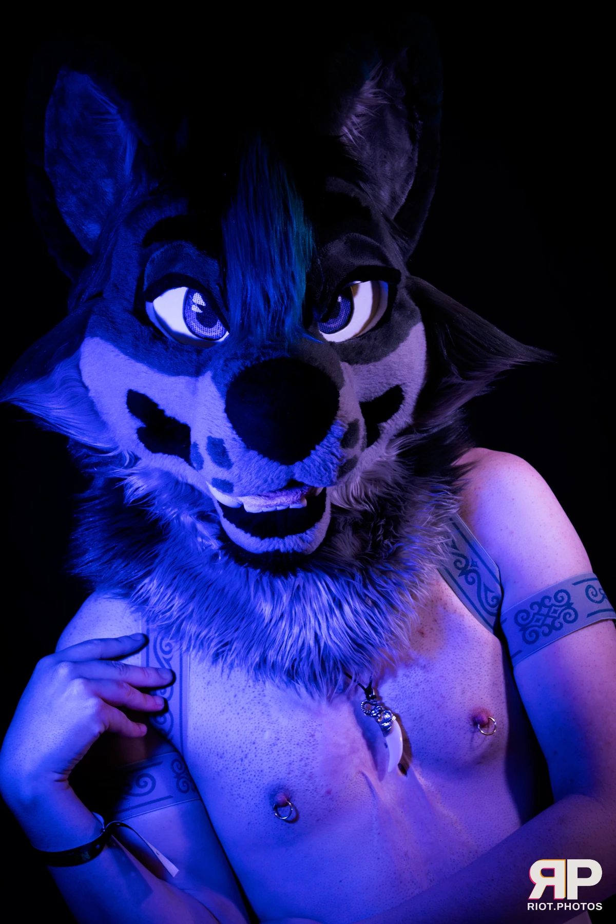 Salerei — furry & pup photography by Fluffy Riot — photo 95