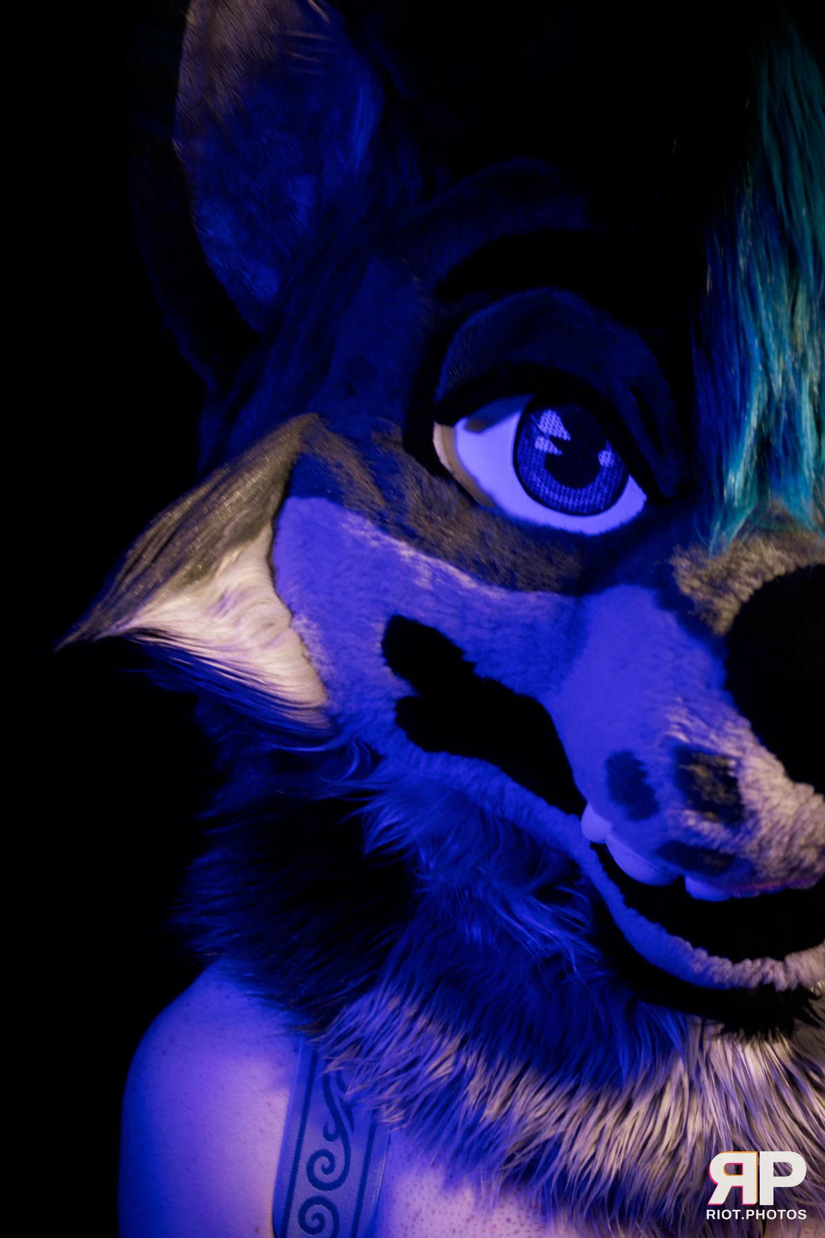 Salerei — furry & pup photography by Fluffy Riot — photo 101