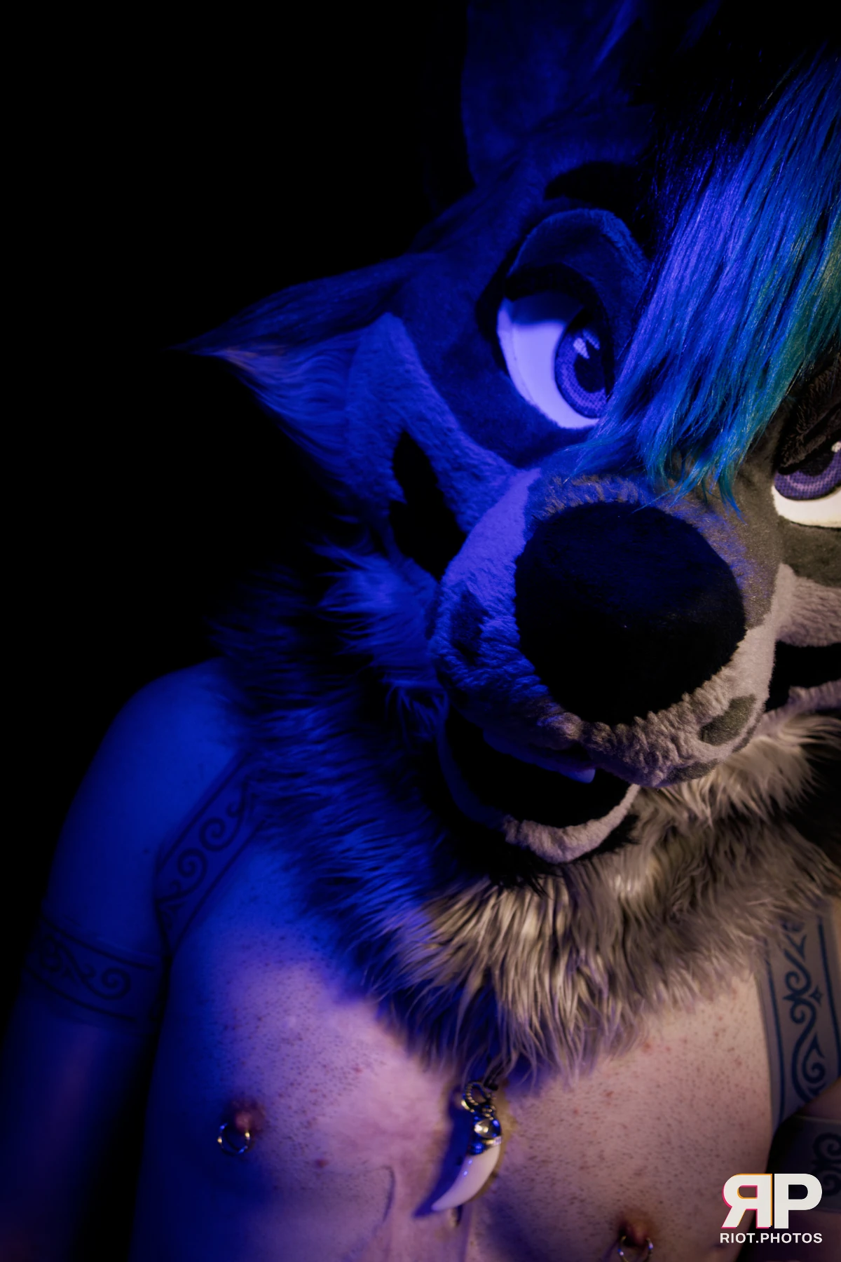 Salerei — furry & pup photography by Fluffy Riot — photo 102