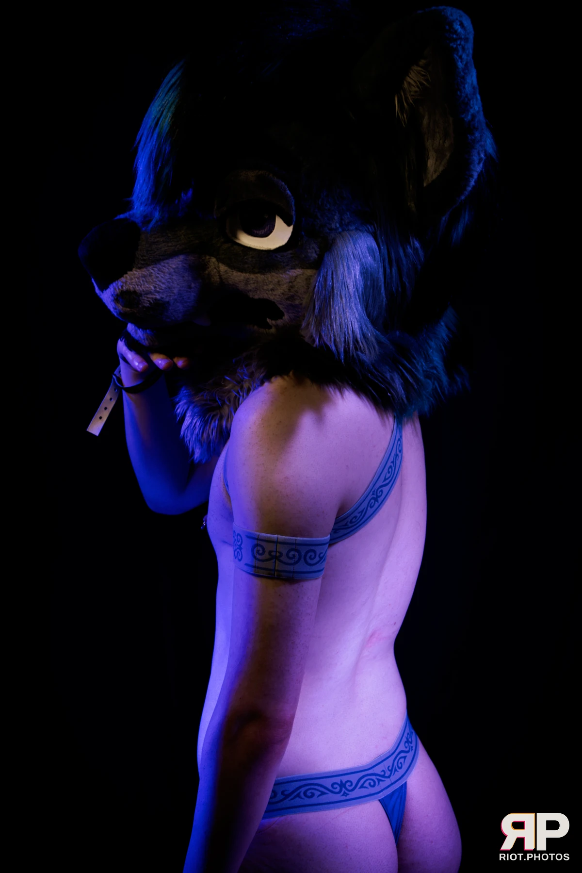 Salerei — furry & pup photography by Fluffy Riot — photo 107
