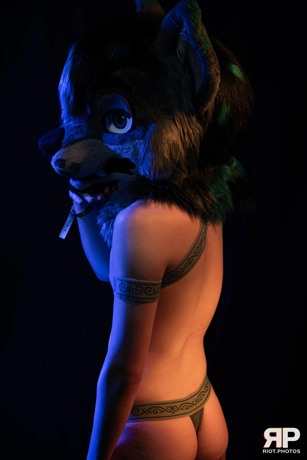 Salerei — furry & pup photography by Fluffy Riot — photo 108