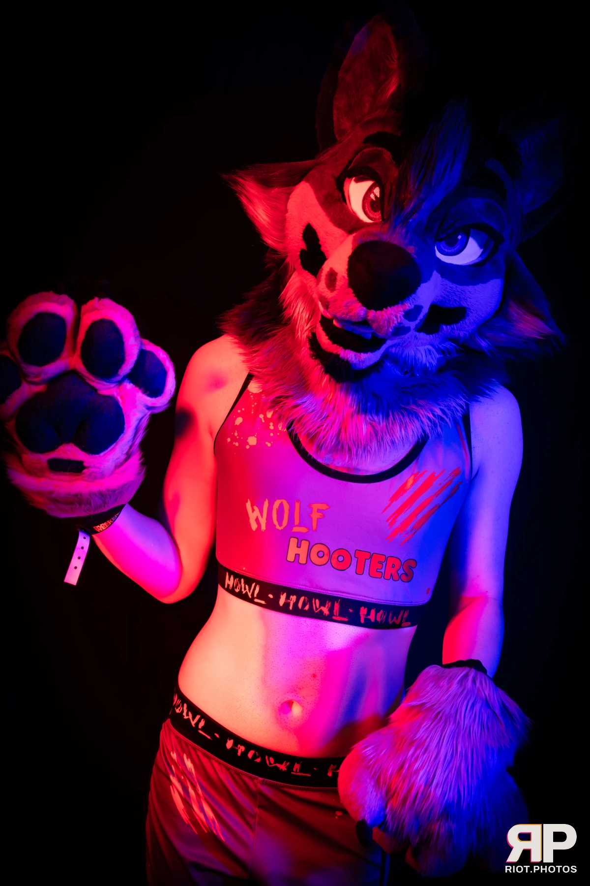 Salerei — furry & pup photography by Fluffy Riot — photo 112