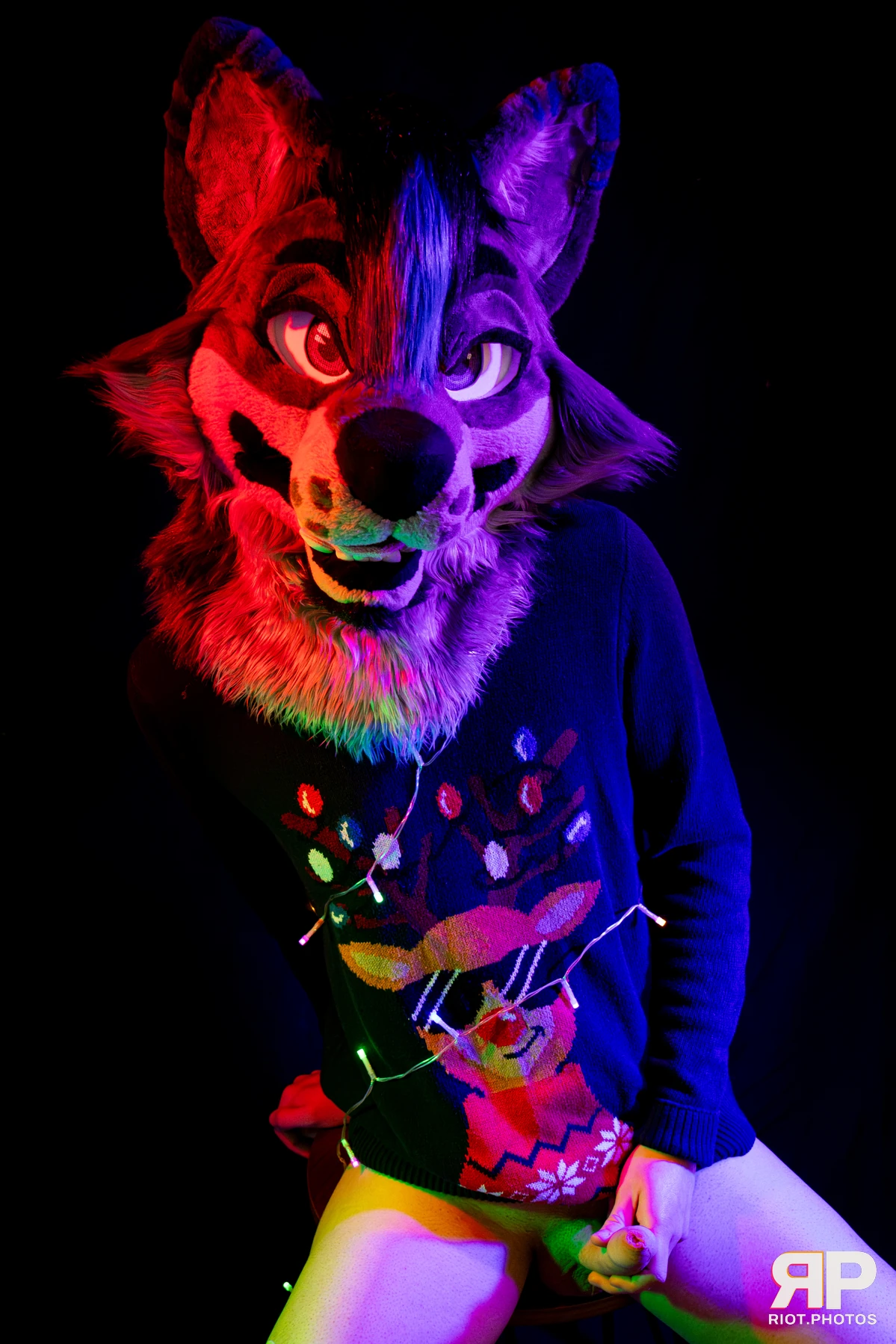 Salerei — furry & pup photography by Fluffy Riot — photo 1