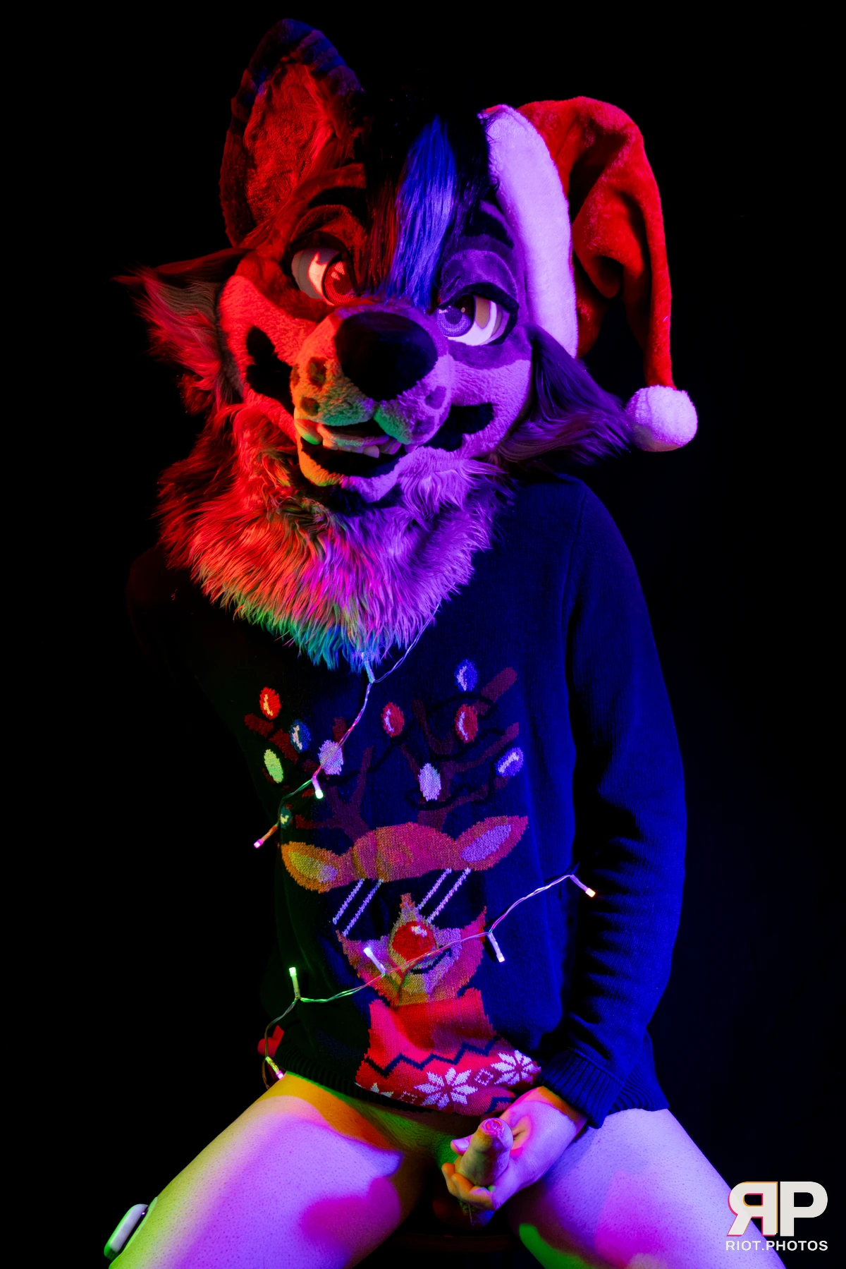 Salerei — furry & pup photography by Fluffy Riot — photo 2