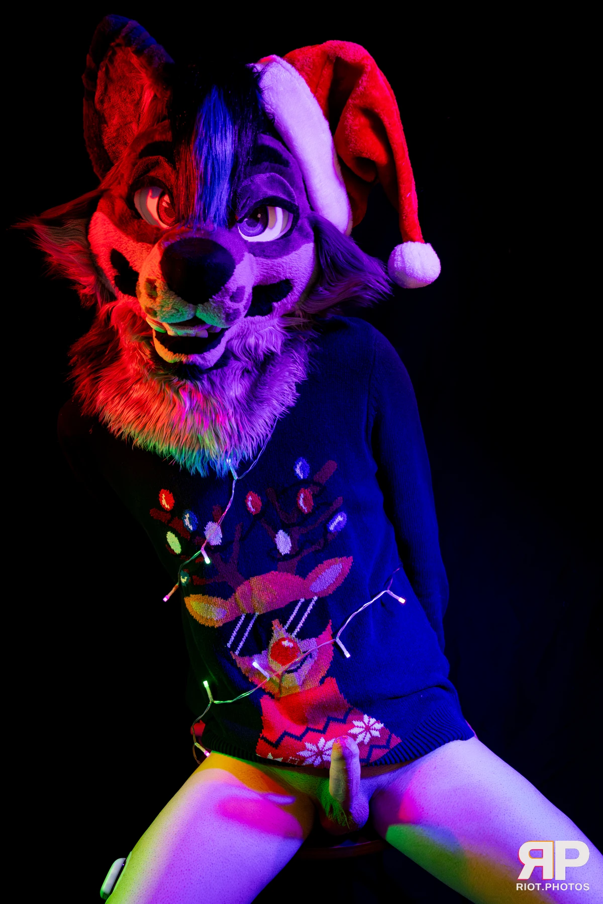 Salerei — furry & pup photography by Fluffy Riot — photo 3
