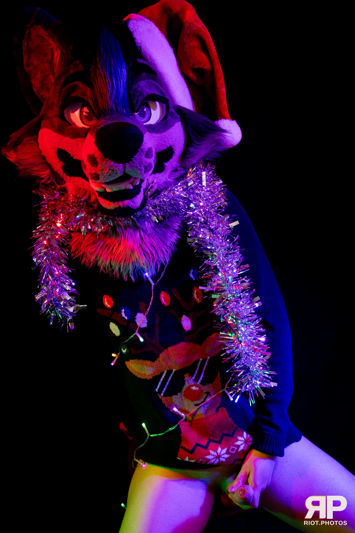 Salerei — furry & pup photography by Fluffy Riot — photo 4