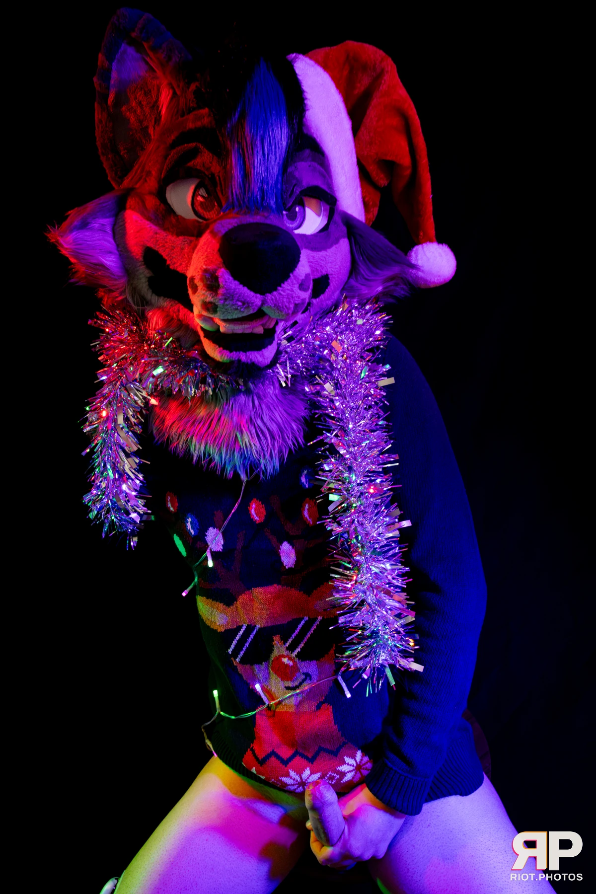 Salerei — furry & pup photography by Fluffy Riot — photo 5