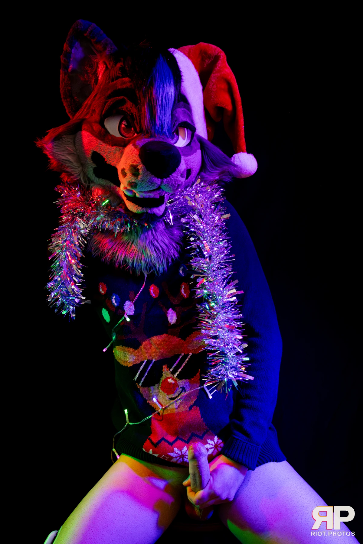 Salerei — furry & pup photography by Fluffy Riot — photo 6