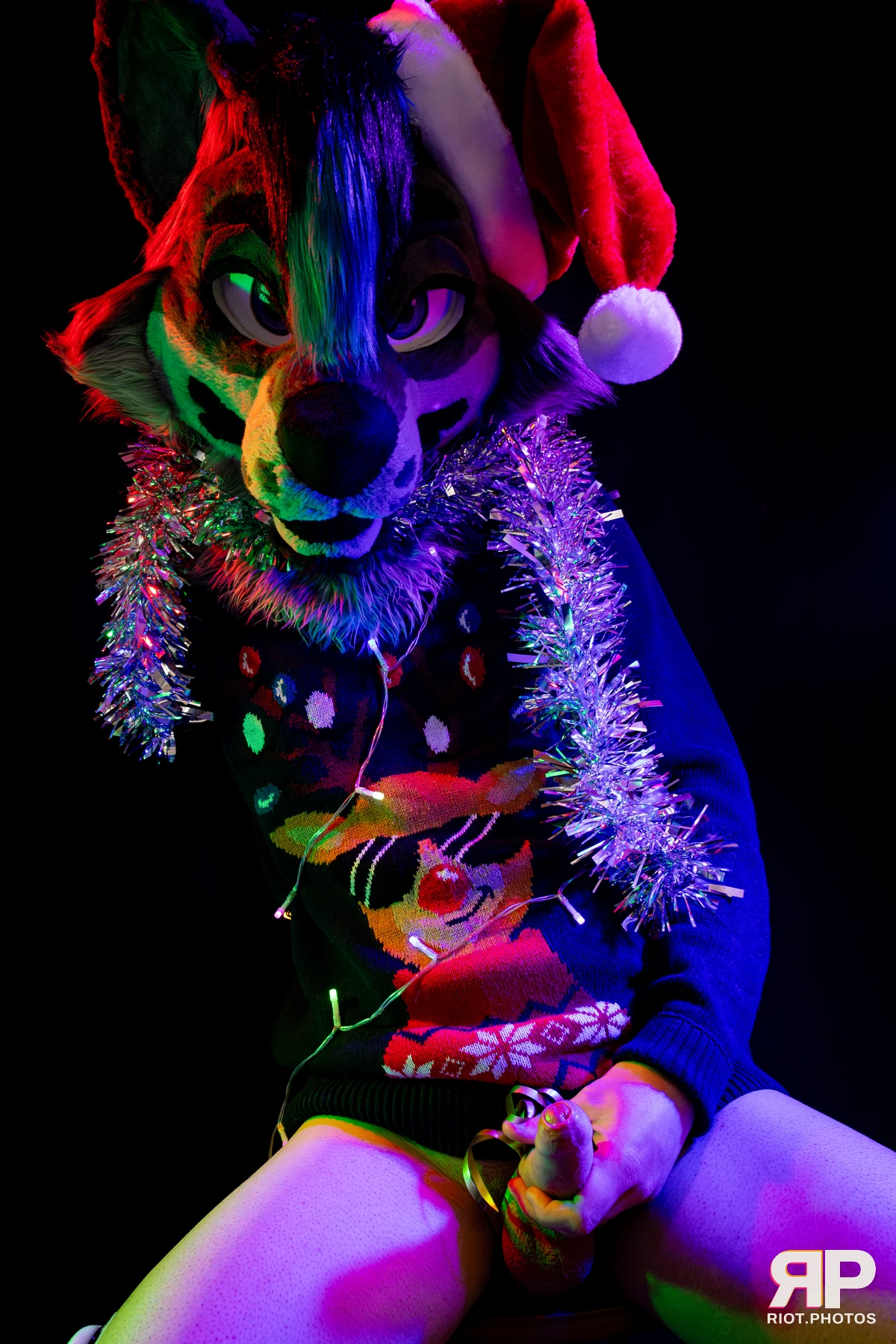 Salerei — furry & pup photography by Fluffy Riot — photo 7