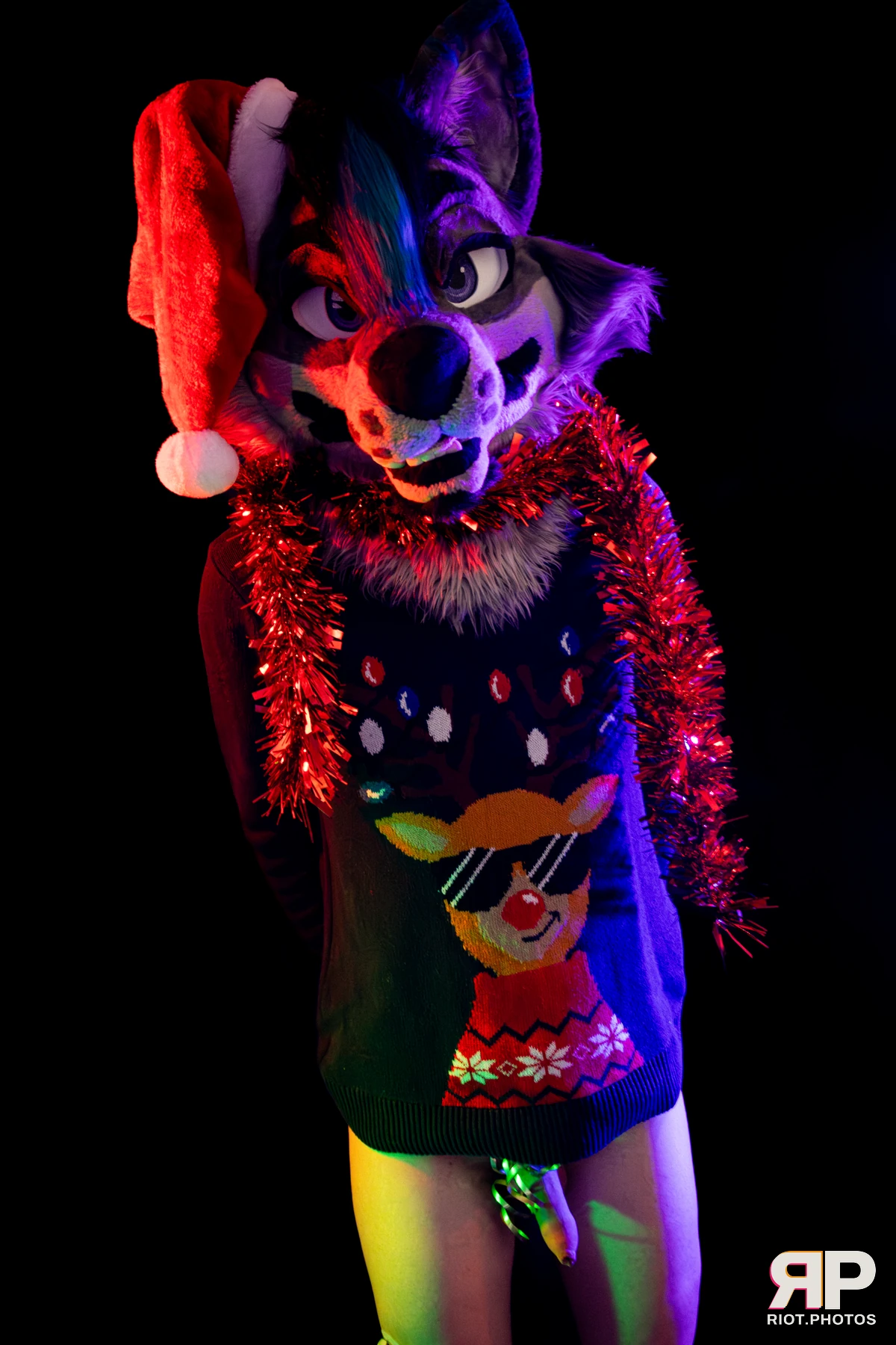 Salerei — furry & pup photography by Fluffy Riot — photo 8