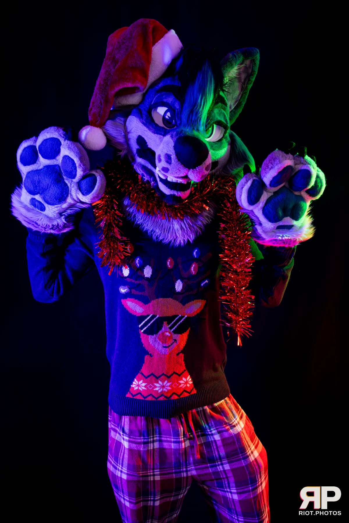 Salerei — furry & pup photography by Fluffy Riot — photo 10