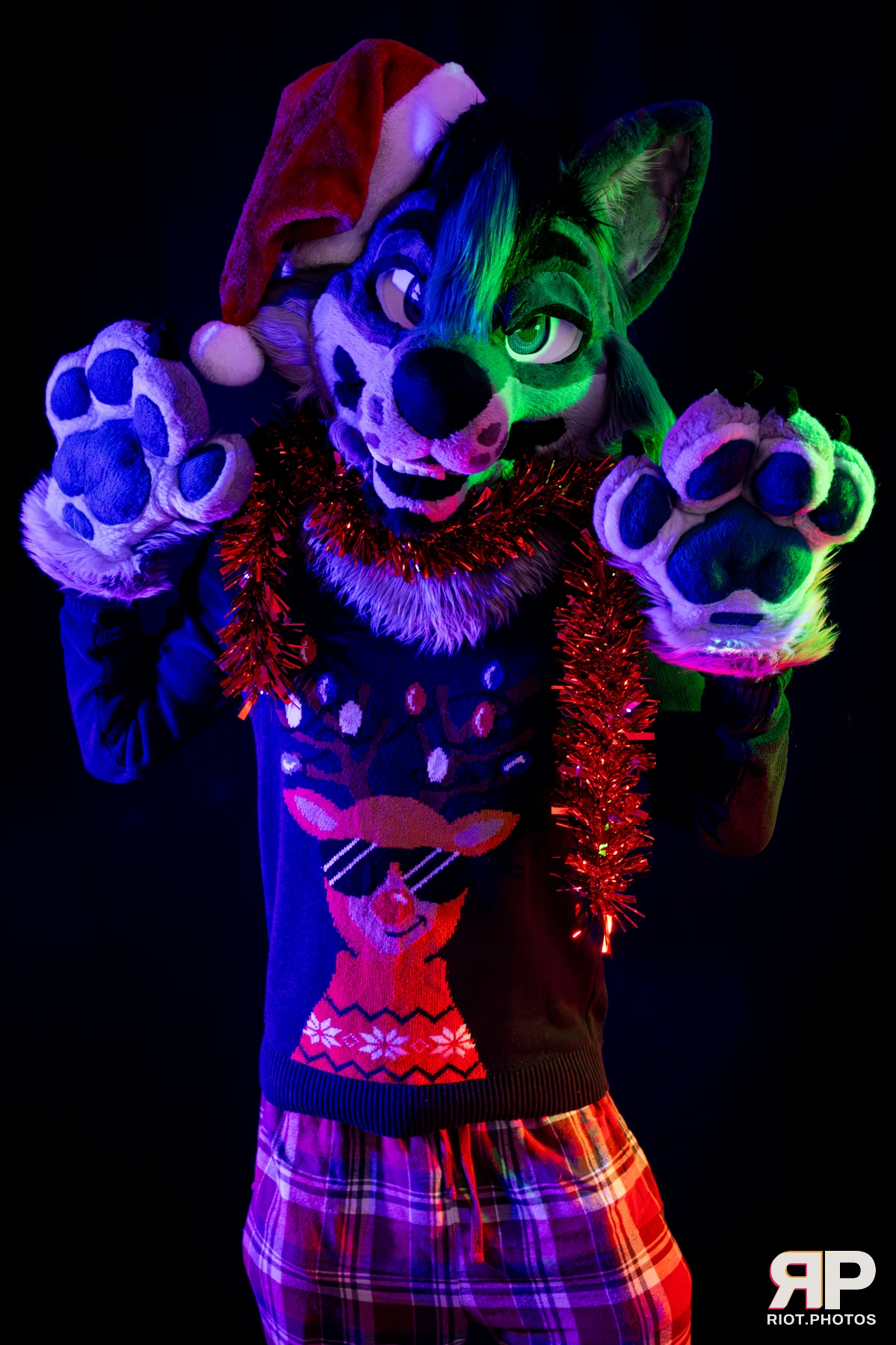 Salerei — furry & pup photography by Fluffy Riot — photo 11