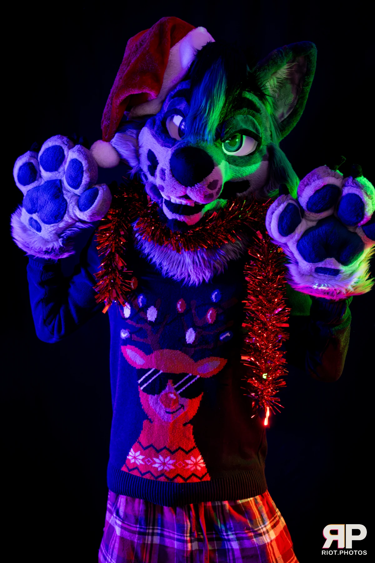 Salerei — furry & pup photography by Fluffy Riot — photo 12