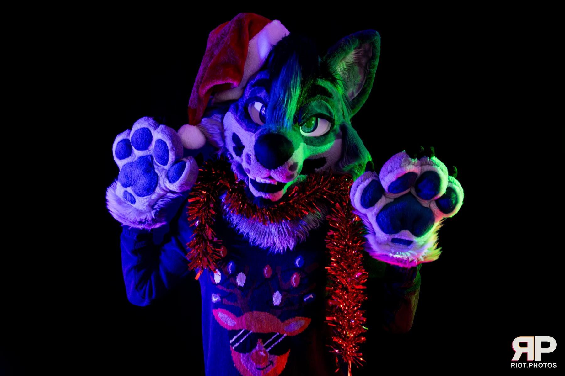 Salerei — furry & pup photography by Fluffy Riot — photo 13