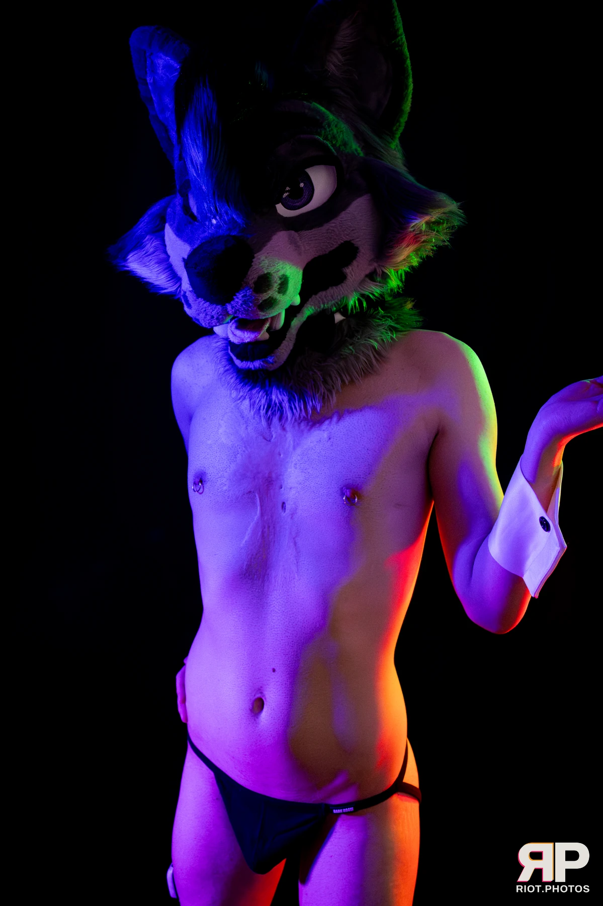 Salerei — furry & pup photography by Fluffy Riot — photo 14