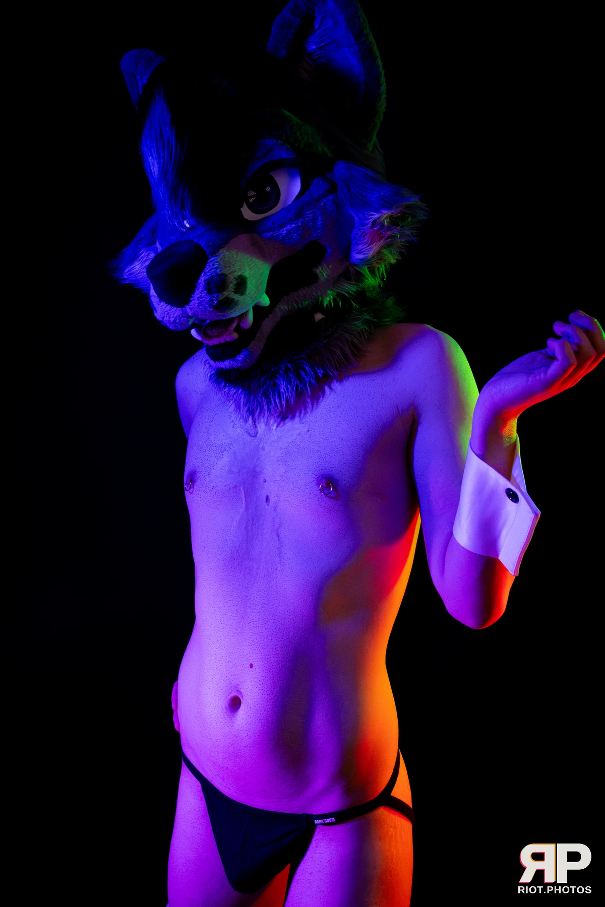 Salerei — furry & pup photography by Fluffy Riot — photo 15