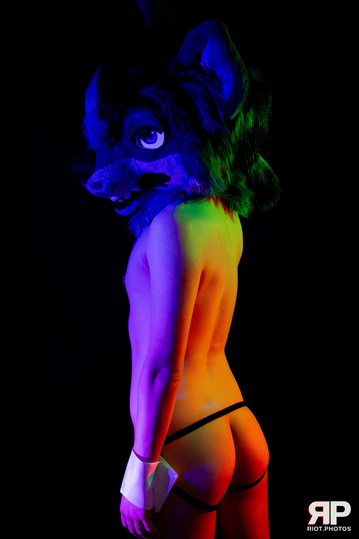 Salerei — furry & pup photography by Fluffy Riot — photo 16