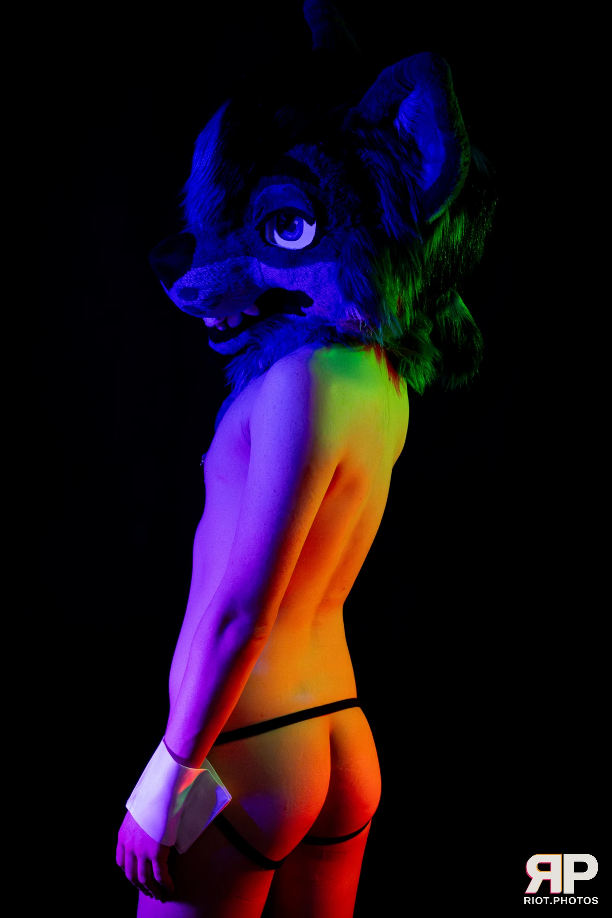 Salerei — furry & pup photography by Fluffy Riot — photo 17