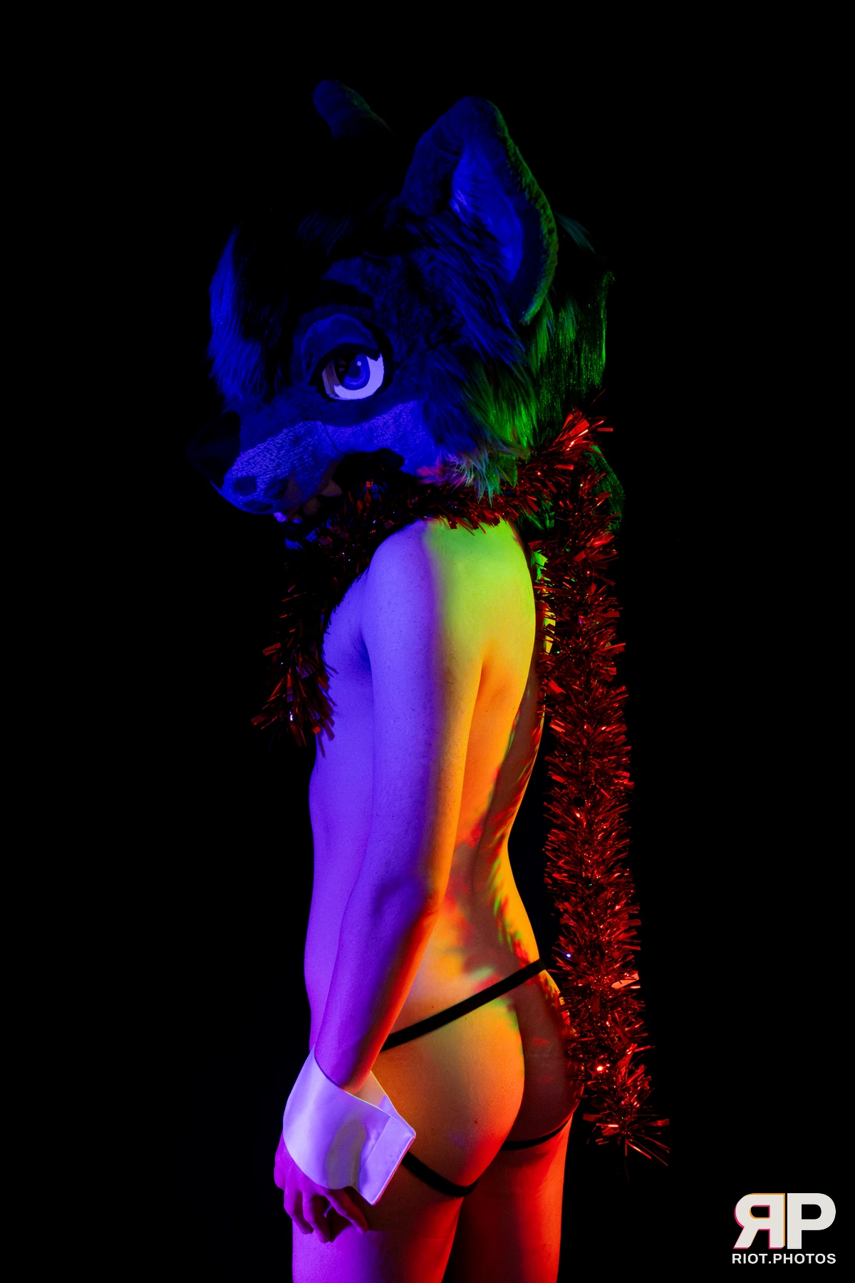 Salerei — furry & pup photography by Fluffy Riot — photo 18